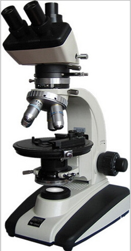 BM-59XC三目偏光显微镜 偏光显微镜三目显微镜易操作