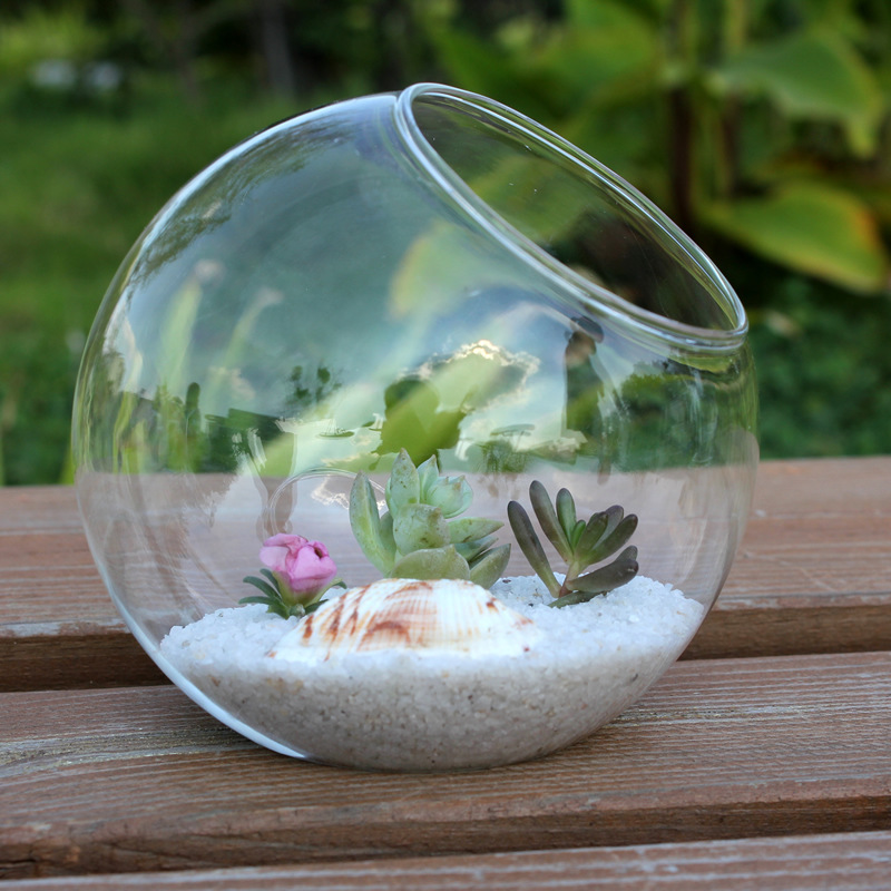 Transparent round beveled glass vase, micro-landscape ecological bottle, succulent vase, hydroponic flower device, home crafts