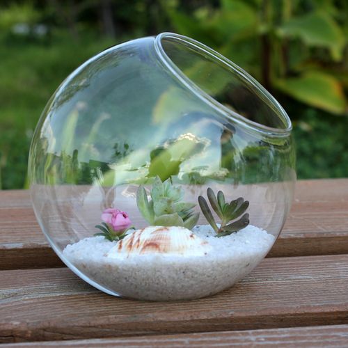 Transparent round beveled glass vase, micro-landscape ecological bottle, succulent vase, hydroponic flower device, home crafts