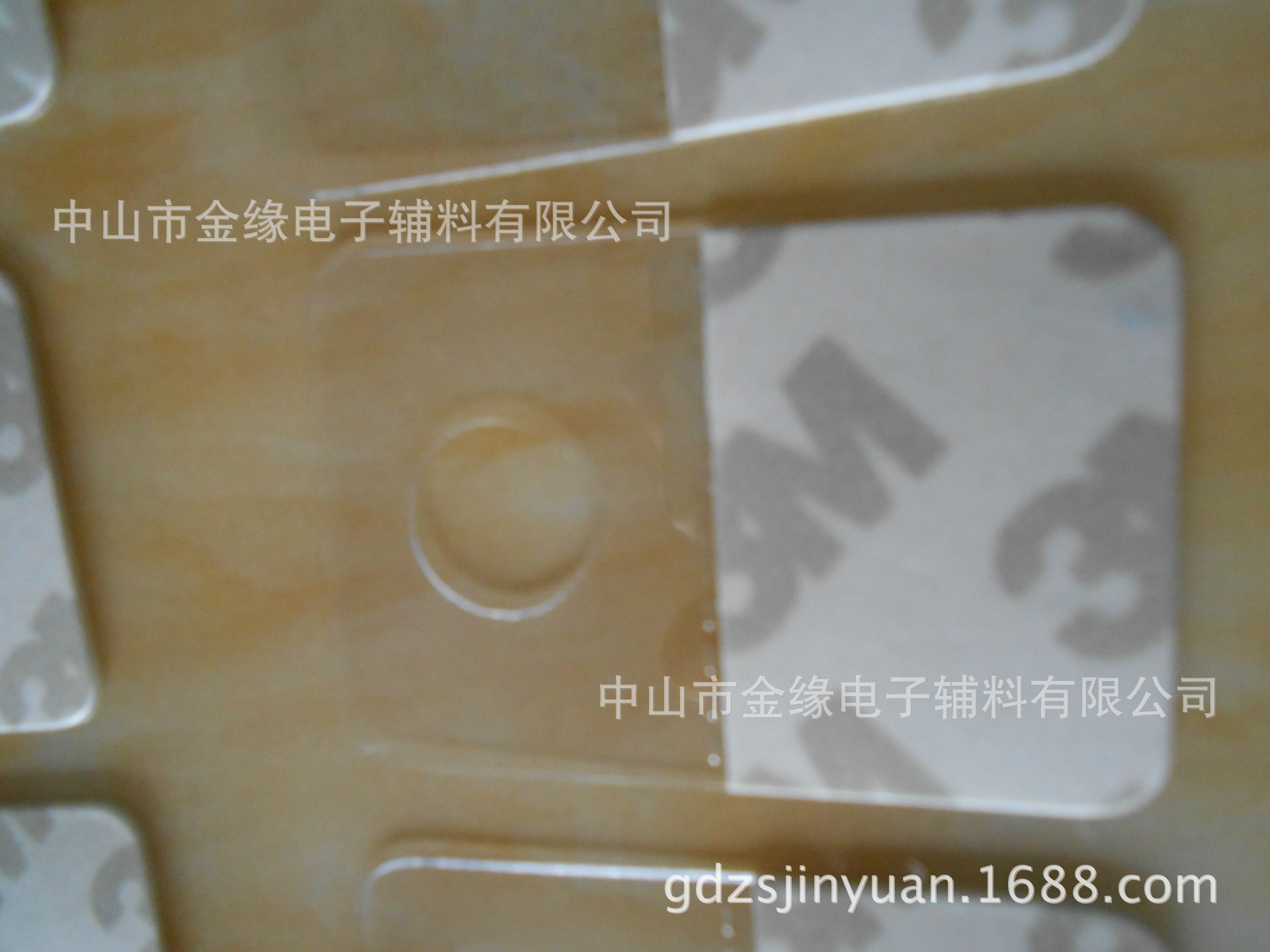 DSCN6827