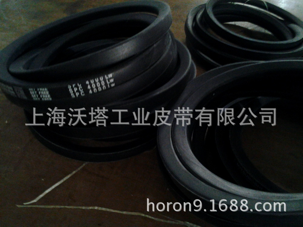 ������ɫ�к��VECTOR�������Ǵ� ���������Ǵ�  SPC��