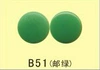 B51 Postage Green