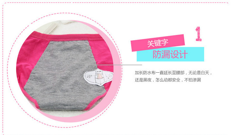 Slip pantalons physiologiques, coton,  en autre - Ref 655381 Image 11