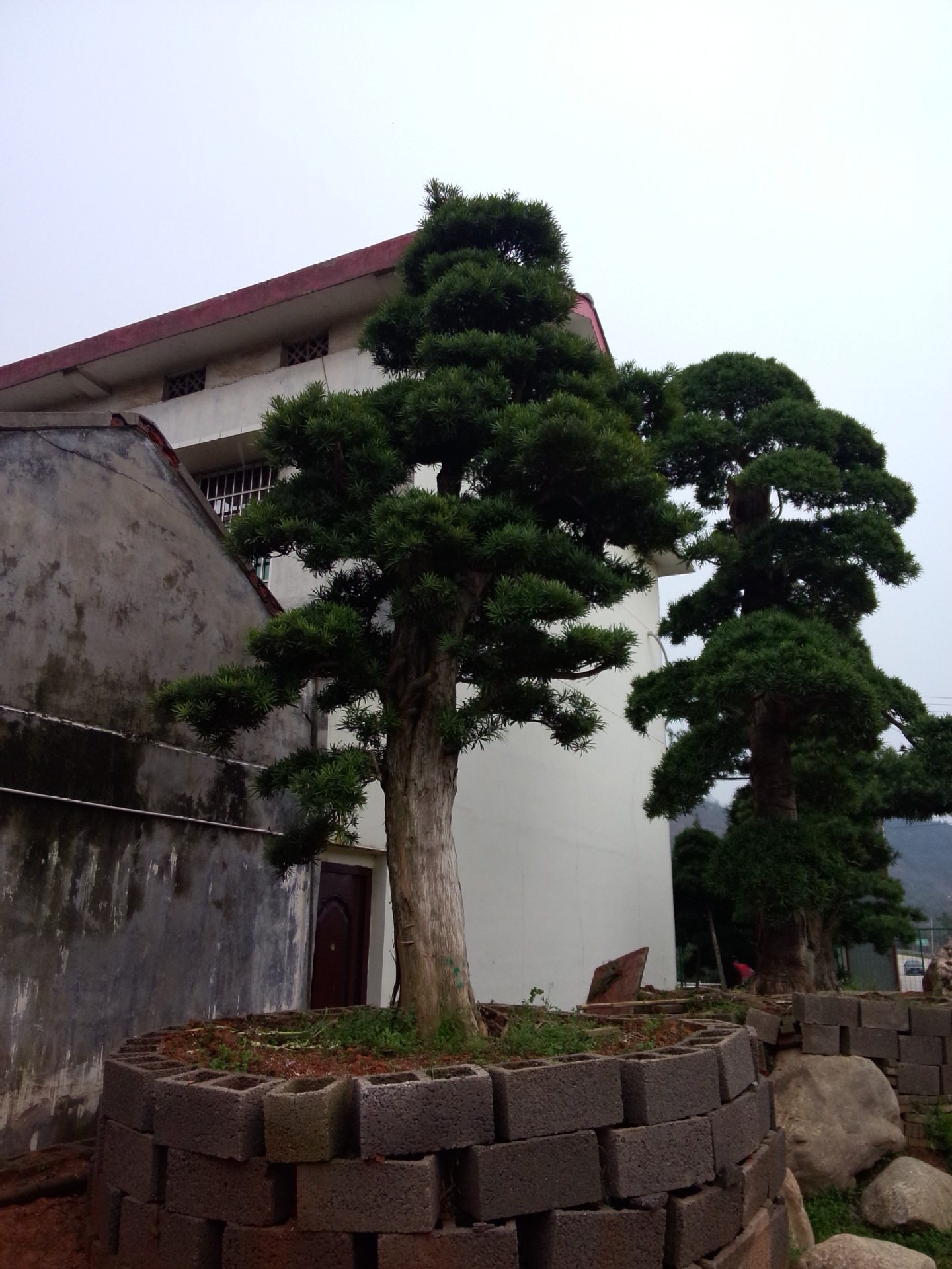 IMG20140320163703(1)