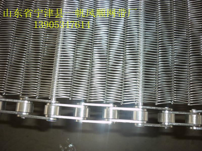 大节距小网孔链条式网带-07