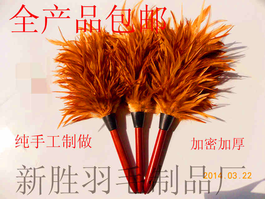 DSCN0898_副本_副本_副本_副本