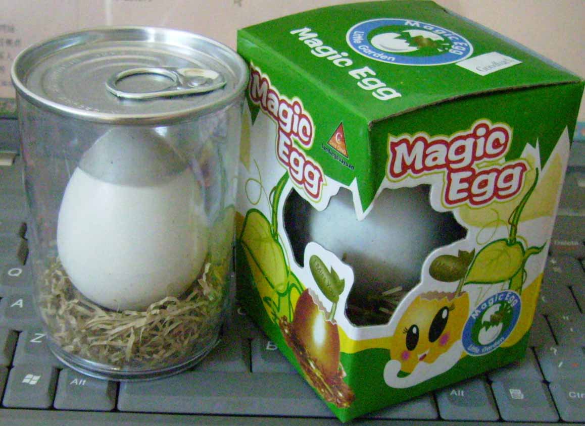 Mini Botany novel Beanstalk Magic egg Grass doll Gift advertisement Promotion Supplies Business gifts