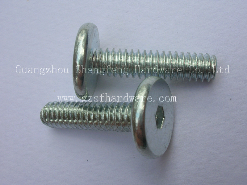 供应大扁平头内六角螺钉，内六角平头螺丝