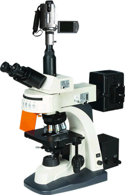 现货供应BM-21AYV摄像型落射荧光显微镜| 质保5年|原装！