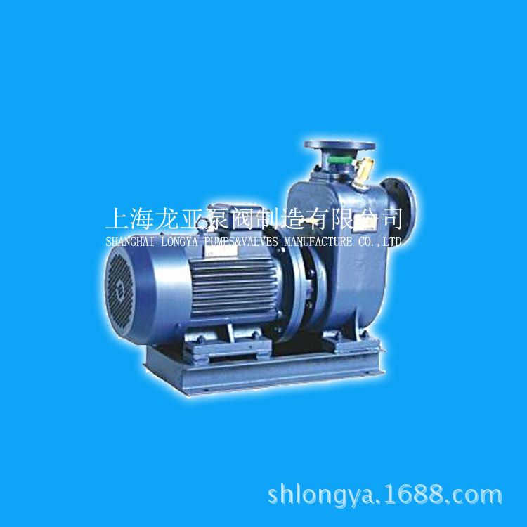 供应ZCQ65-50-160葡萄糖注射液自吸磁力泵 ZCQF自吸塑料磁力泵