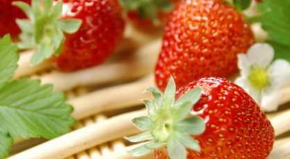 6LY2CZFZ4$XI2L[L[OEC6GS