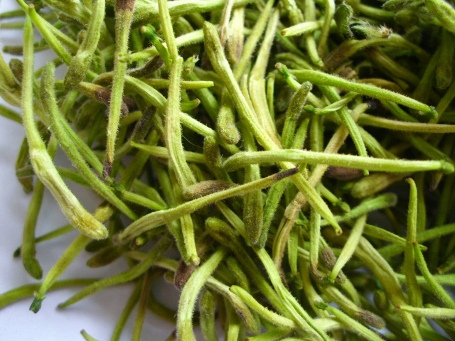 大功率金银花干燥设备改装维修烘干机厂家