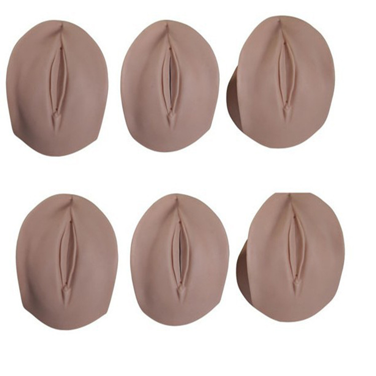 高级产前宫颈变化与产道关系模型