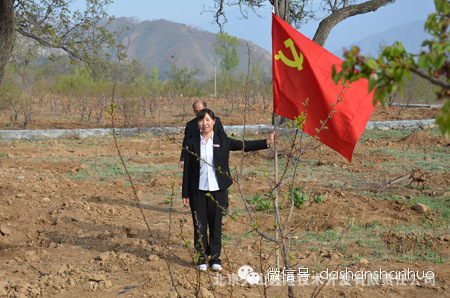 4月19日门头沟特产大山山货党支部在北京国际核桃庄园的“党员林”进行植...