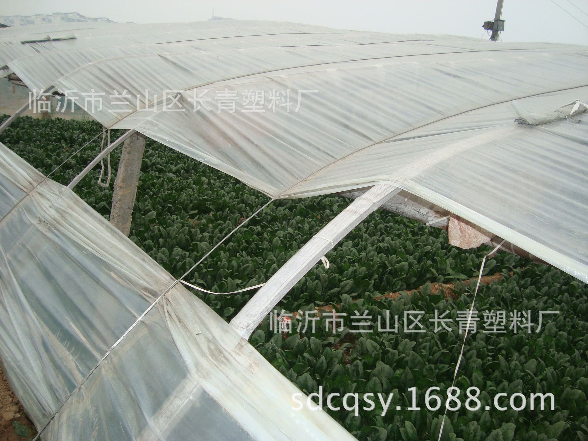 蔬菜大棚无滴膜