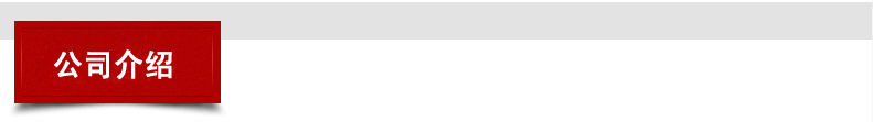 公司介绍