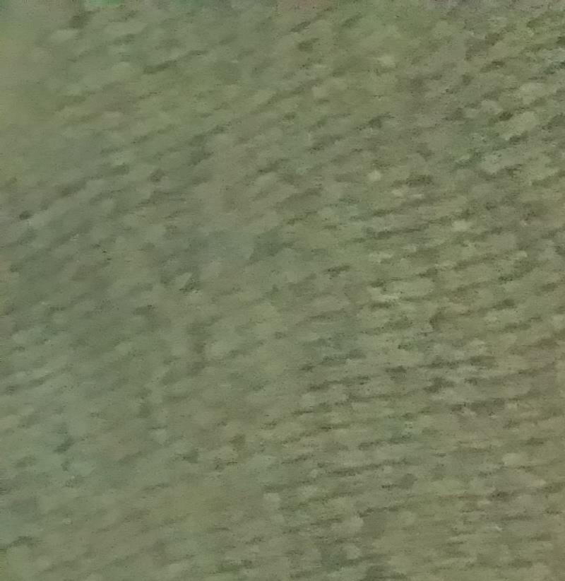 供应各种规格的针织黑白丝绒布 高档粗针单面绒 现货粗针绒布