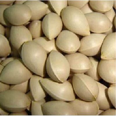 Ginkgo wholesale Ginkgo fruit Shandong specialty Ginkgo Ginkgo Place of Origin Straight hair 50 Catty without bleaching