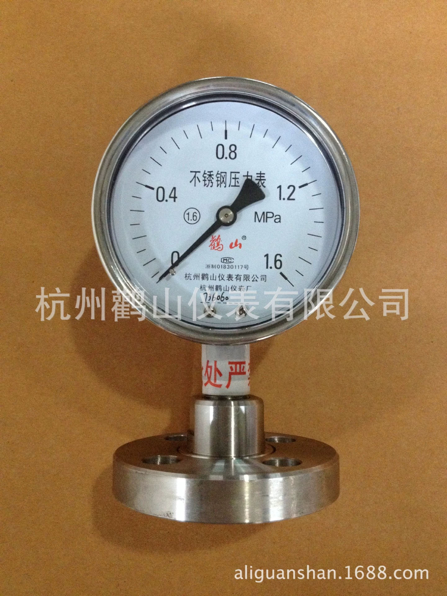 Мембранный манометр с фланцевым соединением Y100BF/MF DN25 Мембранный манометр Мембранный манометр из нержавеющей стали