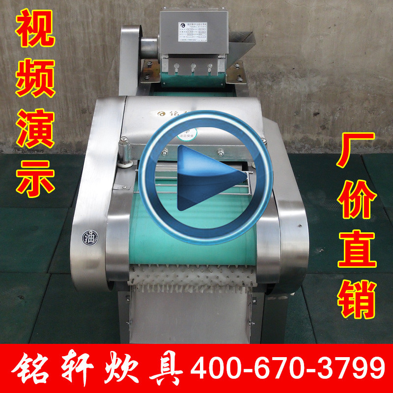 1000型 商用 电动 多功能切菜机 切苦瓜片机 切海带机 切雪里红机