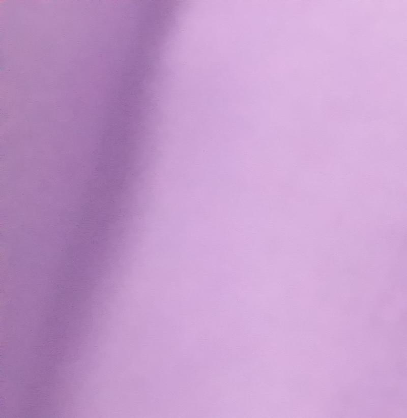 供应各种规格的超厚300克针织双刷单摇摇粒绒  超细低弹摇粒绒