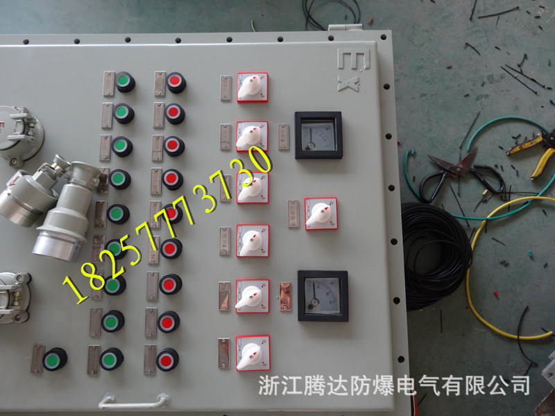 乐清防爆仪表控制箱 照明动力配电箱BXK58-t 触摸屏箱 厂家