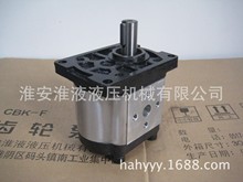CBTt-F304/306/310F3P7 齿轮泵