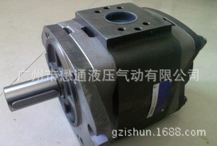 福伊特VOITH高压内啮合齿轮泵,注塑机伺服泵组IPVP5-50-101