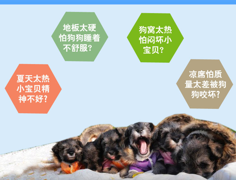 T2Q_TYXnNaXXXXXXXX_!!704407379