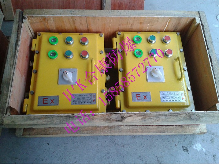防爆气体报警器主机控制箱