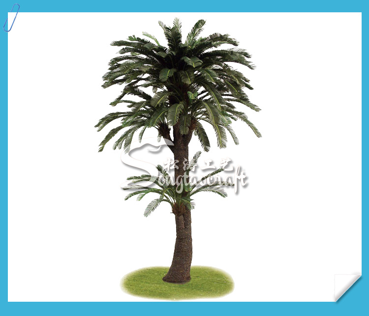 蘇鐵產(chǎn)品圖_03