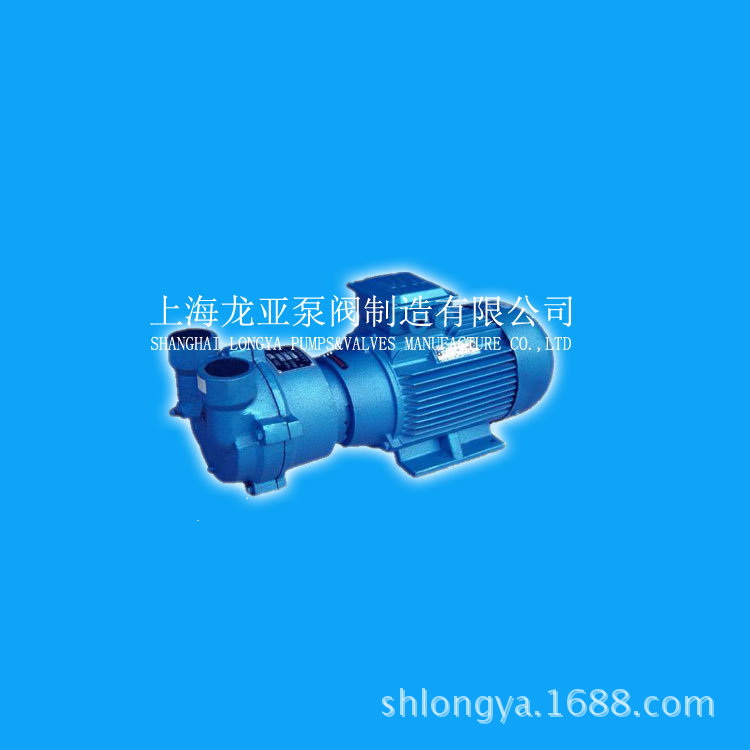 供应2BVA2071-0NC户外型真空泵 2BV2-071液环式真空泵