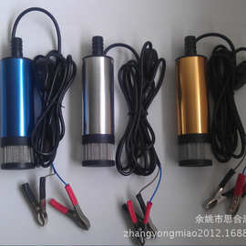 出口俄罗斯12V 24V小型车用直流抽油泵 潜油泵 洗车器