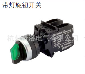 TAYEE上海天逸两位带灯旋钮开关 LA42XD2-10/AC220V G