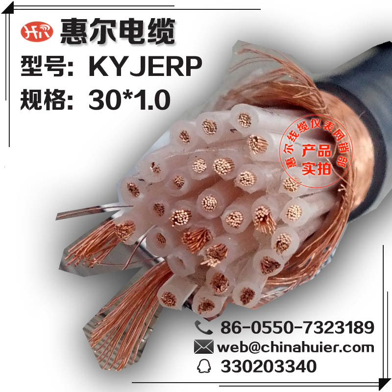 屏蔽控制阻燃计算机电缆【KYJERP1-30*1.0】无锡盐城滨海