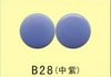 B28 Zi Zi