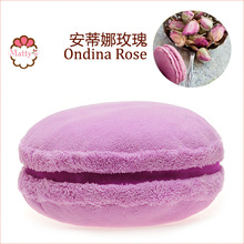 2014�¿� ��ʽMacaron��������õ�塿������Բ�����Ⱨ������