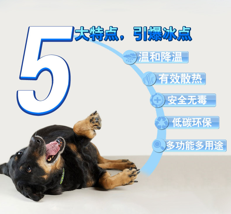 T2VtY6XcNXXXXXXXXX_!!704407379