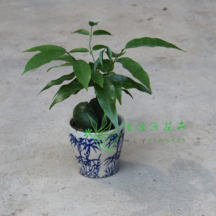 老司机野外搞生存训练国语对白报价,操练小嫩穴电影高清的越野性能,534色情网高清图片