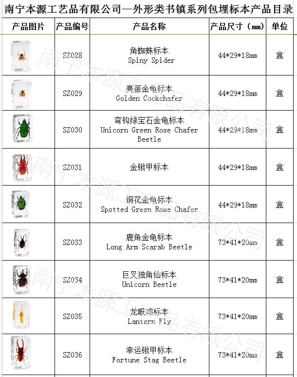 本源公司外形系列包埋標本04