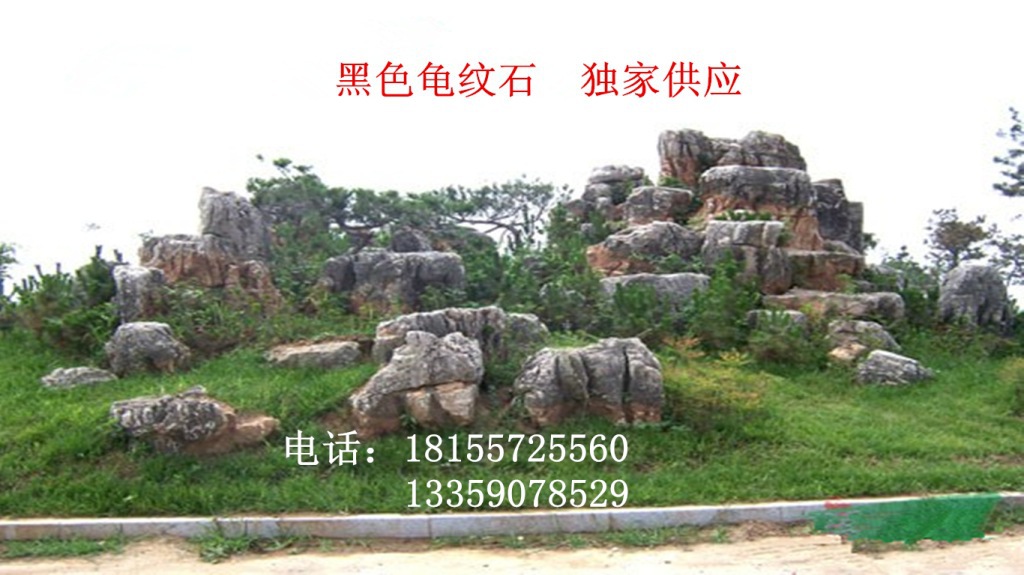 2013419112611585_副本