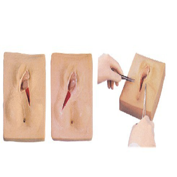 外阴缝合练习模型