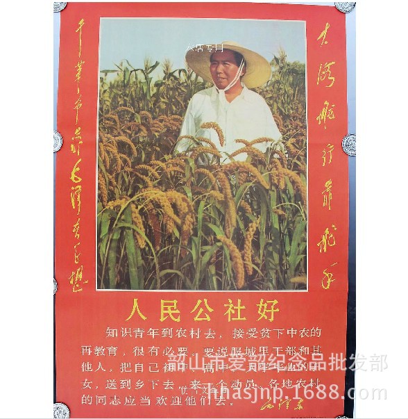 QQ圖片20140902230334