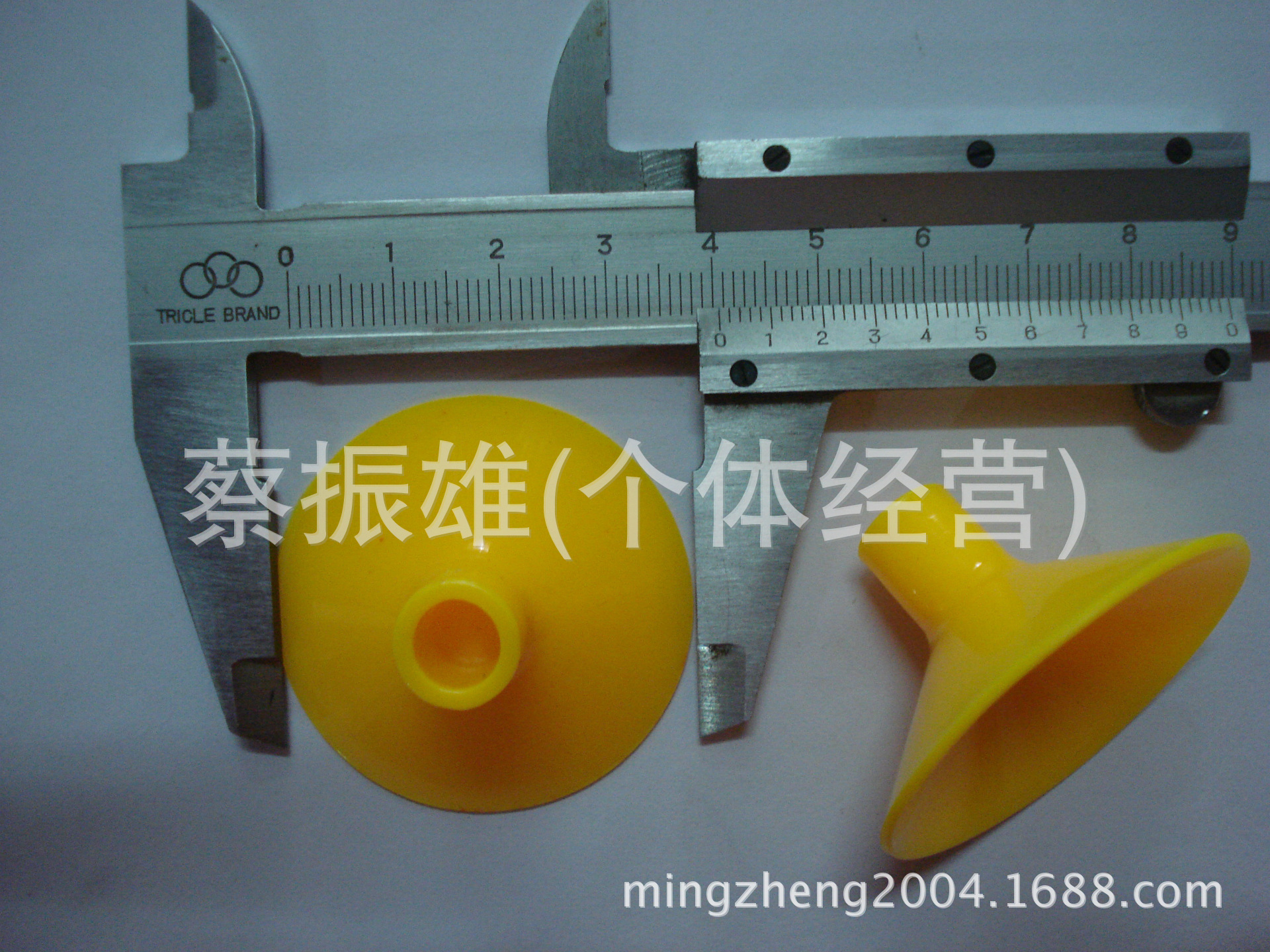 DSC05575