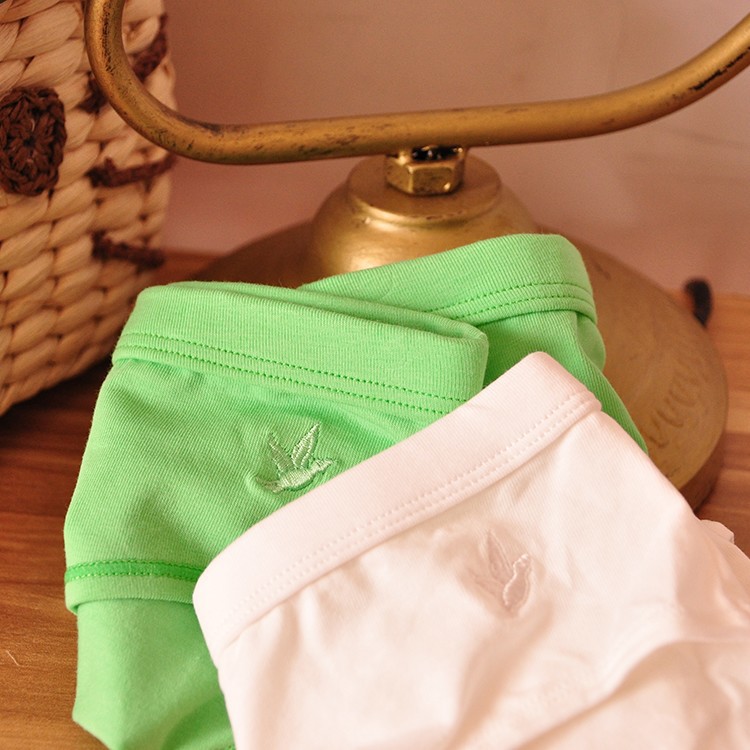 Slip jeune T2 en coton - Ref 647970 Image 19