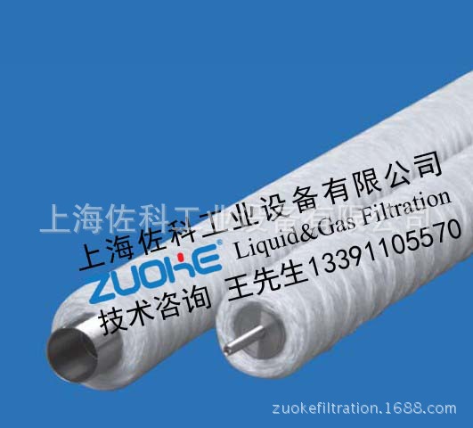 供应 火电厂前置过滤器启动滤元 美国GRAVER泠凝水精处理运行滤芯