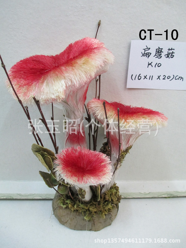 CT-10扁蘑菇K10-3486_副本