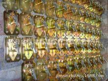 ���a�N�� �T�F�_�ּ���� �T����ĸ �T�F���w �T�F���w