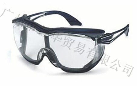 ��Ψ˹ skyguard NT 9175275/260/261/003 ��ȫ�����۾�