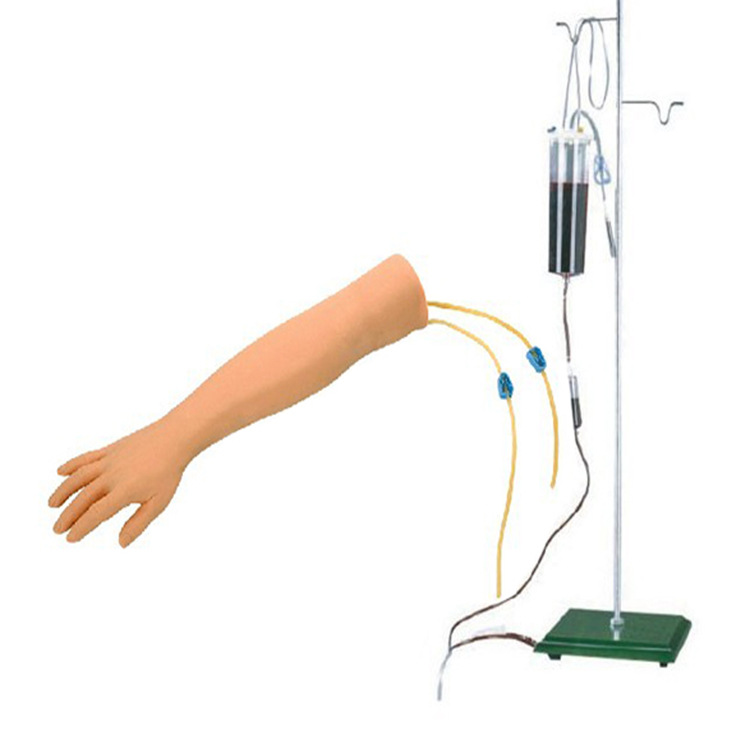 高级静脉穿刺手臂训练模型 